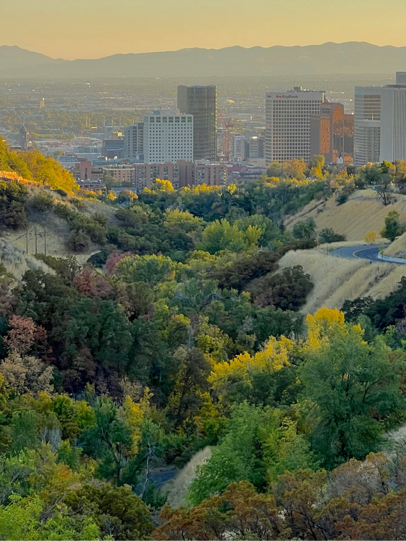 25-WIL-0824-Website6