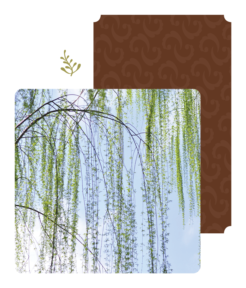 25-WIL-0824-Website11