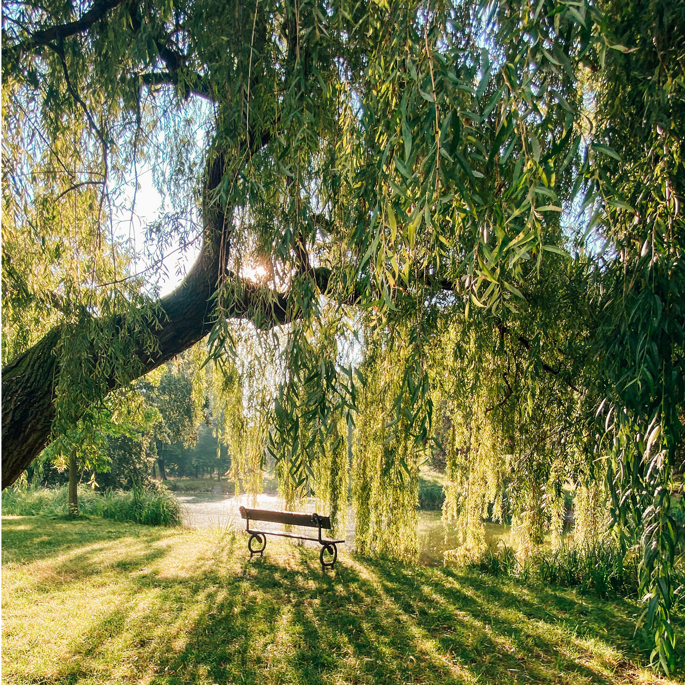 25-WIL-0824-Website13