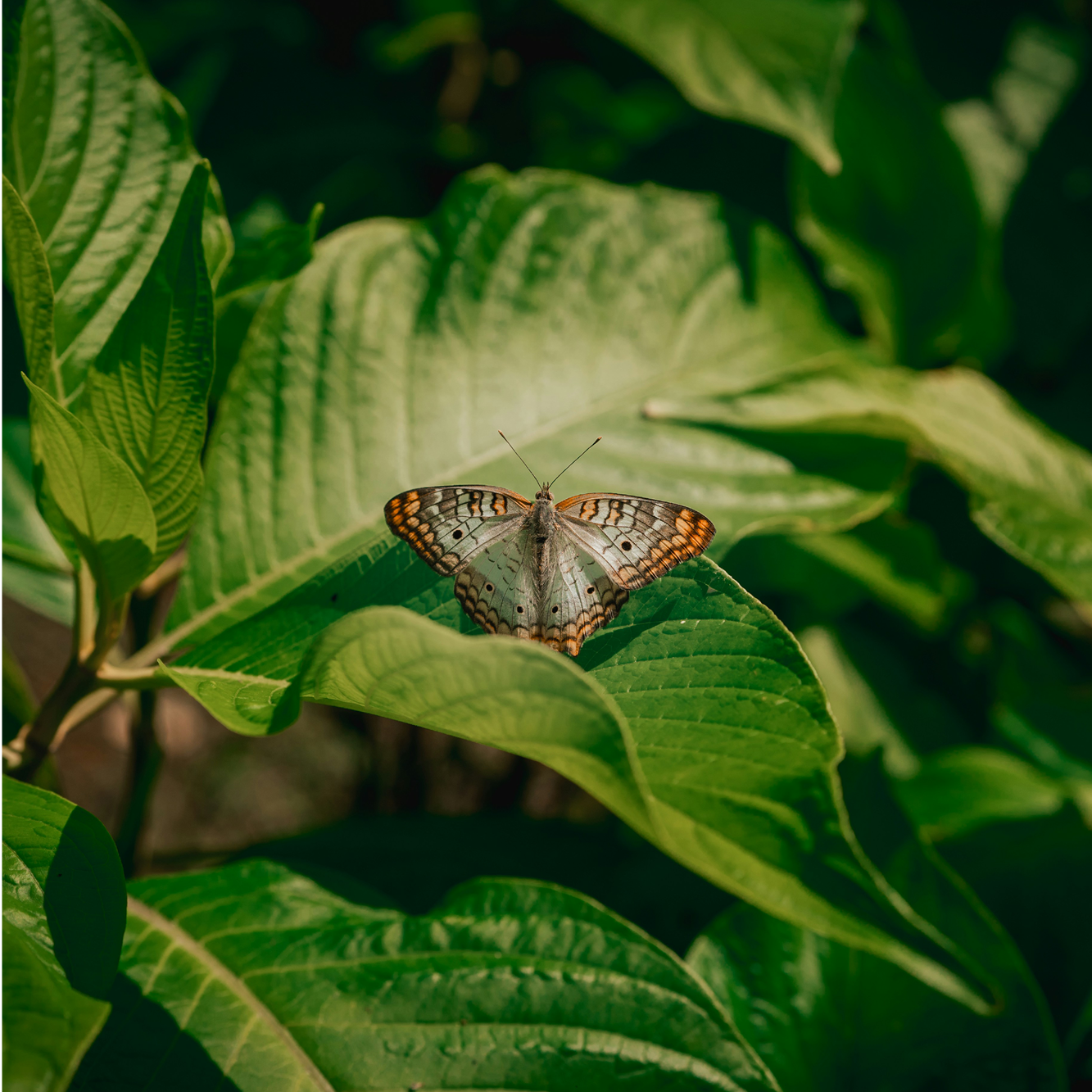 25-WIL-0824-Website16