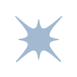 25-WIL-0824-Website19