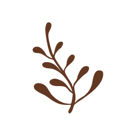 25-WIL-0824-Website21-1