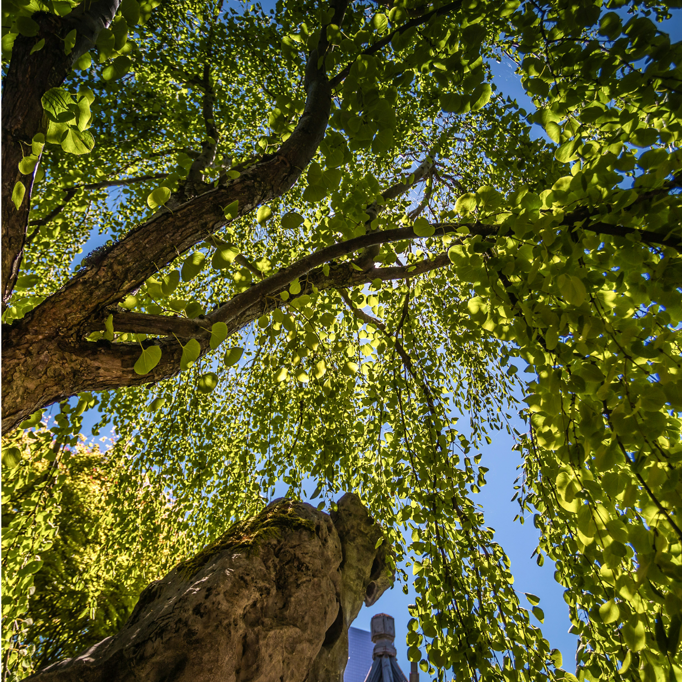 25-WIL-0824-Website24