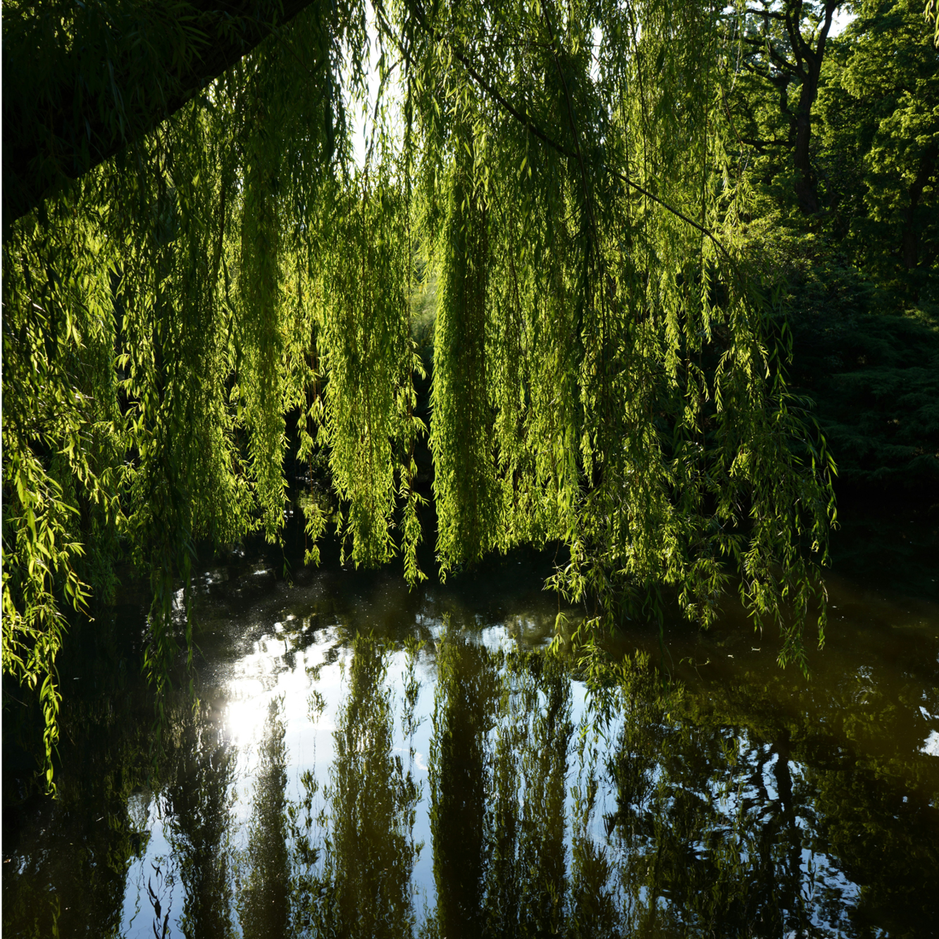 25-WIL-0824-Website25