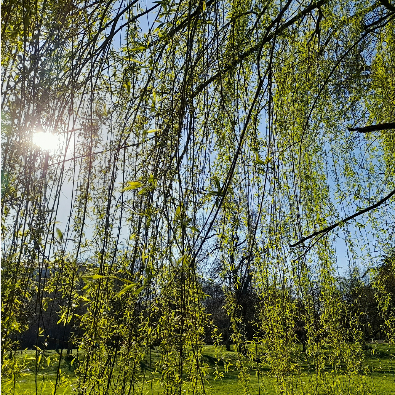 25-WIL-0824-Website26