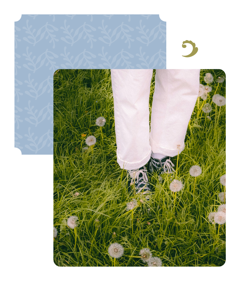 25-WIL-0824-Website29