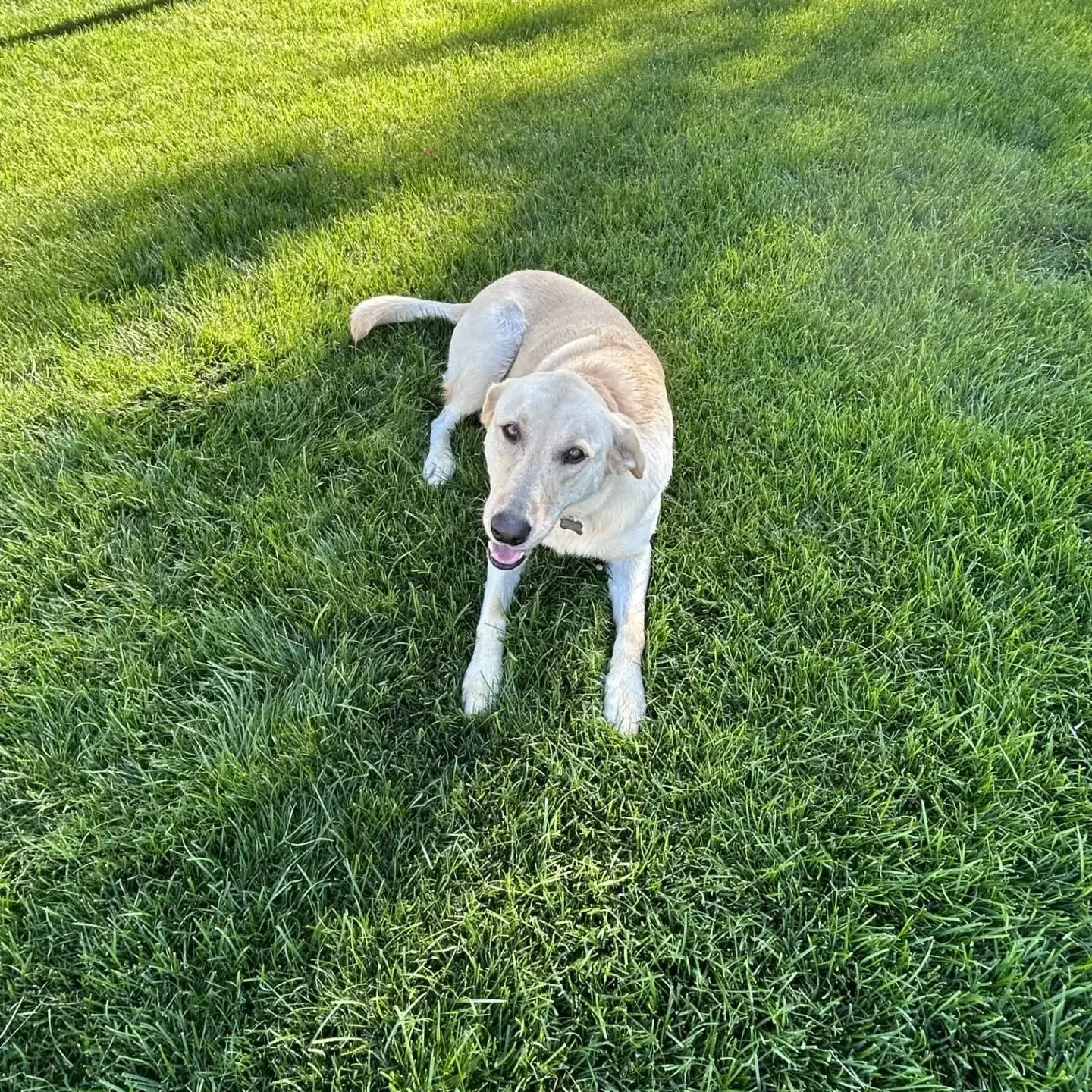 thumbnail_IMG_7055-min